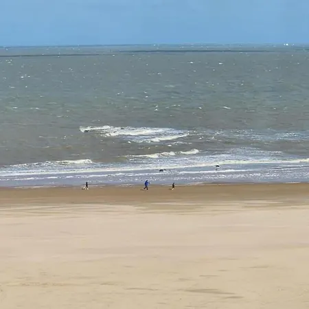 In Duinbergen Near Sailing School Διαμέρισμα *