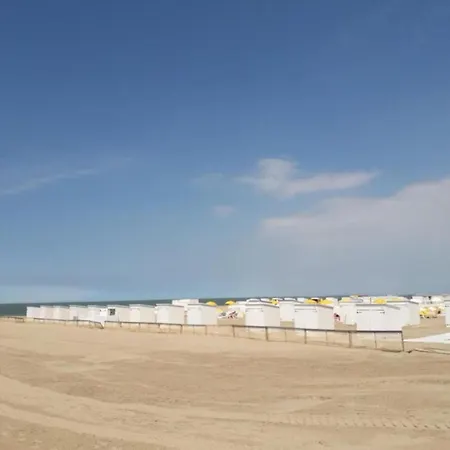 In Duinbergen Near Sailing School *