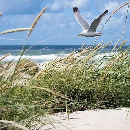 In Duinbergen Near Sailing School *